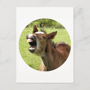 GRAPPIG SCHATTIGE VEULEN BRIEFKAART