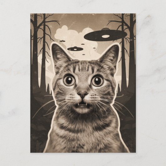 Grappig Sepia Kat en UFO's Briefkaart (Voorkant)