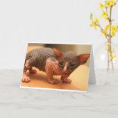 Grappig sfynxkitten kaart (Gele Bloem)