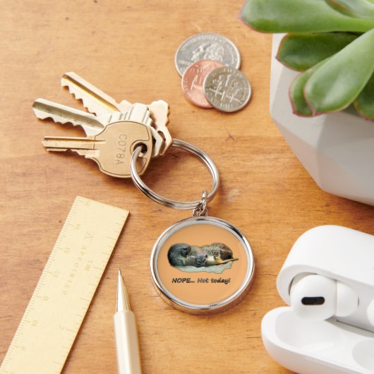 Grappig, slapende ratten sleutelhanger (Bureau)