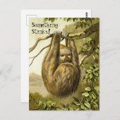 Grappig Sloth die iets smeekt dat stinkt Briefkaart (Voorkant / Achterkant)