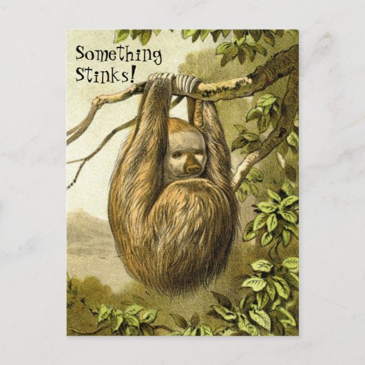 Grappig Sloth die iets smeekt dat stinkt Briefkaart (Voorkant)