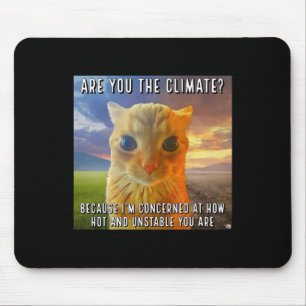 Grappig Stel Valentijn Oranje Kat Meme Ben Jij De Muismat