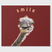 grappig struisvogelpapier cadeaupapier (Vlak)