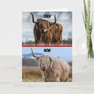 Grappig toen en nu de hel-Raising Bull Birthday Kaart