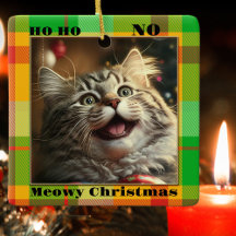 Grappig uw kat foto kleurrijke geruite kerst