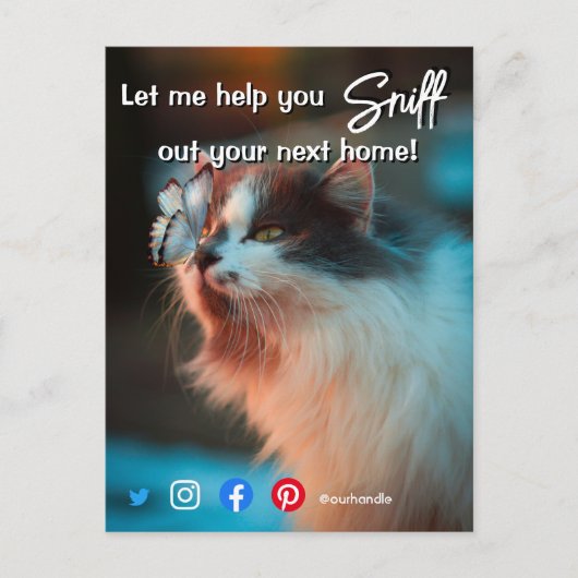 grappig vastgoed dat je je volgende kat uitzoekt briefkaart (Voorkant)