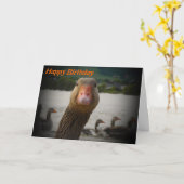 Grappig Verjaardag Oude Vogelgans Kaart (Gele Bloem)