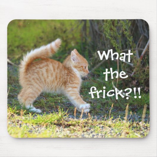 Grappig verrast Ginger Kitten. Wat is de troep? Muismat (Voorkant)