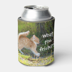 Grappig verraste kat. Wat is de troep? Blikjeskoeler