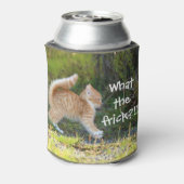 Grappig verraste kat. Wat is de troep? Blikjeskoeler (Blikje Achterkant)