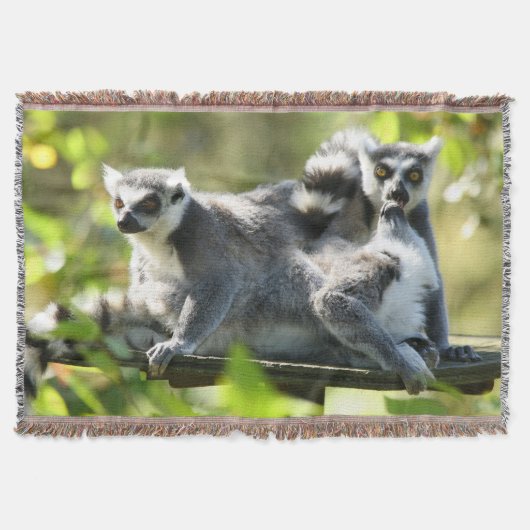 Grappig verraste Lemurs van Madagaskar Deken (Voorkant)