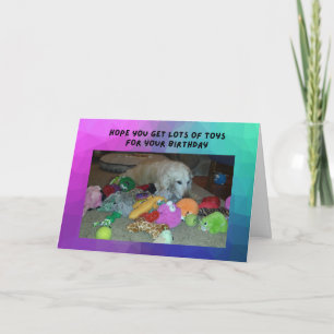 Grappig vogelkaartje Golden Retriever met speelgoe Kaart
