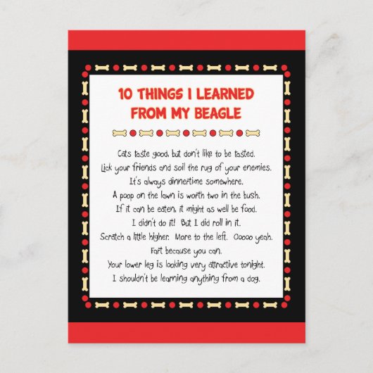 Grappig wat ik geleerd heb van mijn beagle briefkaart (Voorkant)