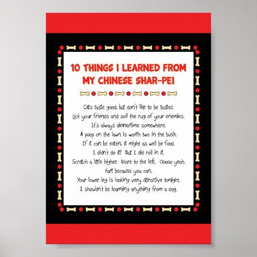 Grappig wat ik geleerd heb van mijn Chinese Shar-P Poster (Voorkant)