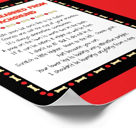 Grappig wat ik geleerd heb van mijn Dachshund Poster (Hoek)