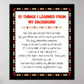 Grappig wat ik geleerd heb van mijn Dachshund Poster (Voorkant)