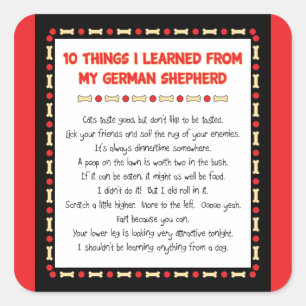 Grappig wat ik geleerd heb van mijn Duitse herder Vierkante Sticker