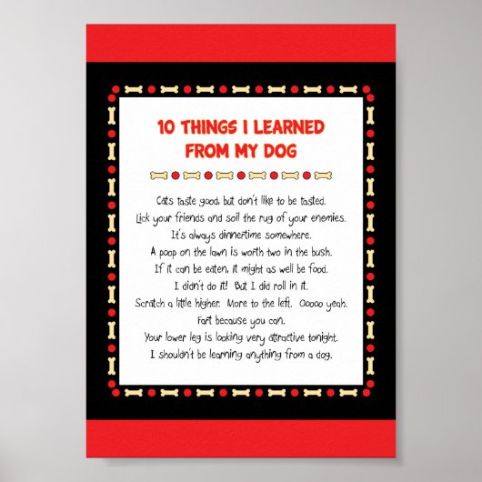 Grappig wat ik geleerd heb van mijn hond poster (Voorkant)