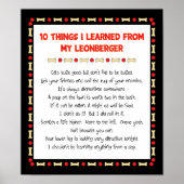 Grappig wat ik geleerd heb van mijn Leonberger Poster (Voorkant)