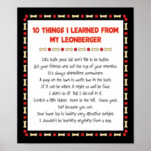 Grappig wat ik geleerd heb van mijn Leonberger Poster (Voorkant)
