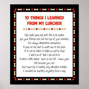 Grappig wat ik geleerd heb van mijn Lurcher Poster