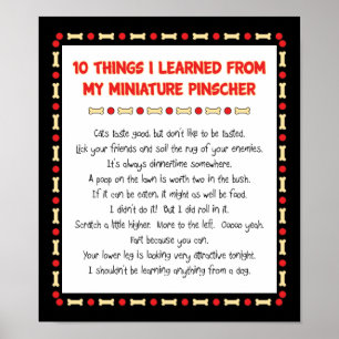 Grappig wat ik geleerd heb van mijn minister Pinsc Poster