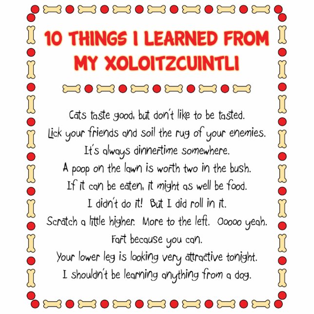 Grappig wat ik geleerd heb van mijn Xoloitzcuintli Staand Fotobeeldje (Voorkant)