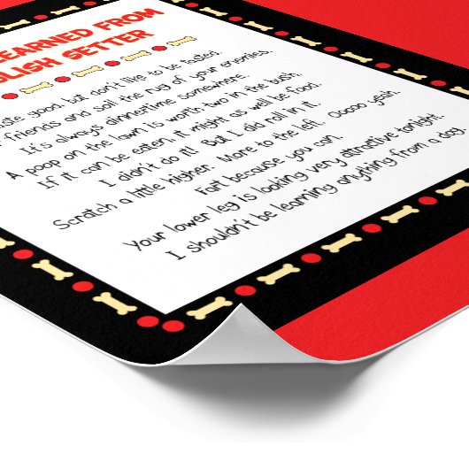 Grappig wat ik heb geleerd van mijn Engelse stoel Poster (Hoek)