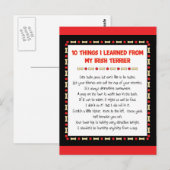 Grappig wat ik heb geleerd van mijn Ierse Terrier Briefkaart (Voorkant / Achterkant)