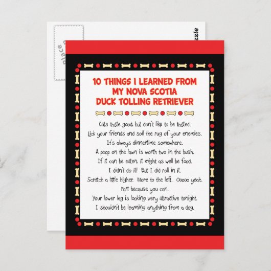 Grappig wat we geleerd hebben van Nova Scotia Duck Briefkaart (Voorkant / Achterkant)