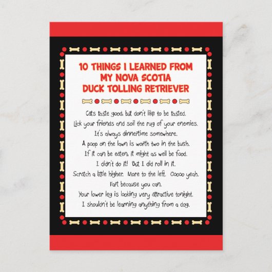 Grappig wat we geleerd hebben van Nova Scotia Duck Briefkaart (Voorkant)
