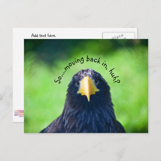 Grappig Zee-havik Bird·Custom Aankondigingskaart (Voorkant / Achterkant)