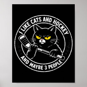 Grappig zoals kattenhockey en misschien 3 mensen s poster