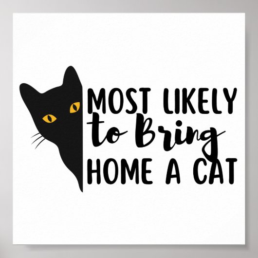 Grappig zwart kat dat waarschijnlijk een kat naar  poster (Voorkant)