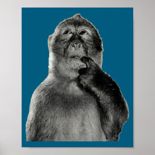 Grappige Aap Meme Met Retro Odore Humor Kunststijl Poster