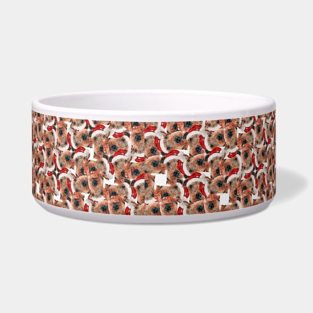Grappige Airedale Terrier Naam Kerst Patroon Voerbakje (Links)