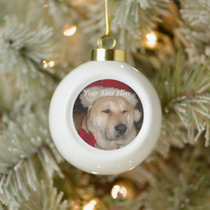 grappige akita-hond gekleed als santa keramische bal ornament