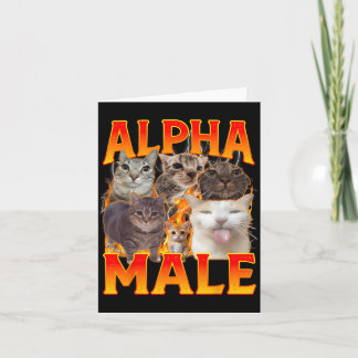 Grappige Alfa Mannelijke Kat Kitten Meme Vintage M Kaart