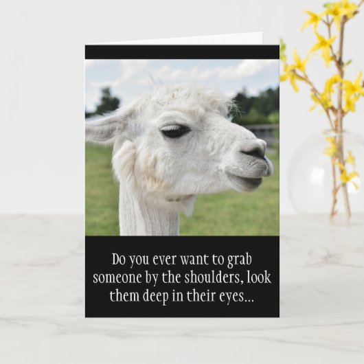 Grappige Alpaca Llama foto met grappen Kaart (Gele Bloem)