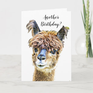 Grappige Alpaca Llama Humor verjaardag Kaart