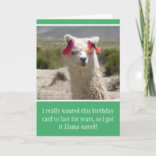 Grappige Alpaca Llama verjaardag Kaart