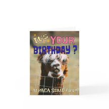 Grappige Alpaca Verjaardag Kaart - Animal Pun Humo