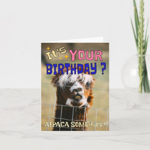 Grappige Alpaca Verjaardag Kaart - Animal Pun Humo