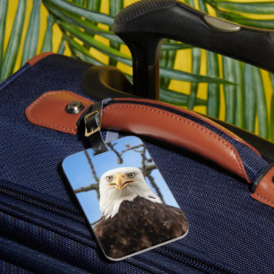 Grappige Amerikaanse kale arend gezicht wildlife f Bagagelabel
