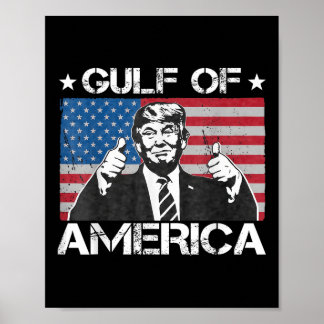 Grappige Amerikaanse vlag Poster