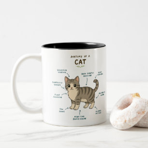 Grappige Anatomie van een Kat Mok - Cadeau voor Cu