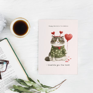 Grappige Anti-Valentijnskaart met Kat Ik Verdraa Kaart