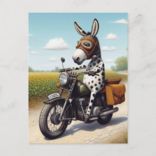 Grappige Appaloosa Mule op een motorfiets Briefkaart
