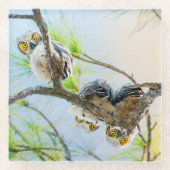 Grappige Baby uilen op een ledemaat Glazen Onderzetter (Voorkant)